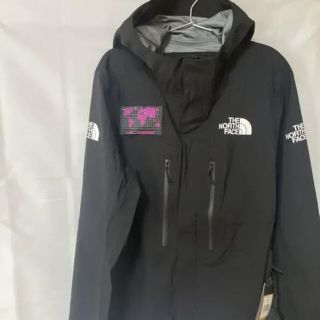 ザノースフェイス(THE NORTH FACE)のNORTH FACE ノースフェイス　フューチャーライト　マウンテンジャケット(マウンテンパーカー)