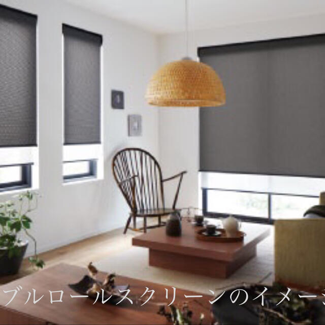 新品未使用☆立川ブラインド ダブルロールスクリーン | www