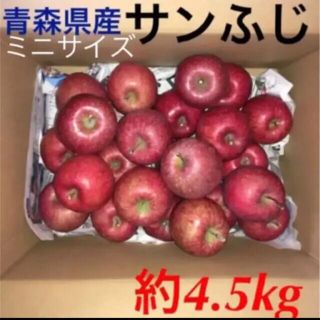 産地直送　サンふじ　青森県産　りんご　訳あり　(フルーツ)