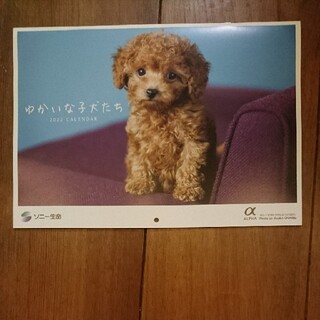 ソニー(SONY)の2022年ゆかいな子犬たちカレンダー(カレンダー/スケジュール)