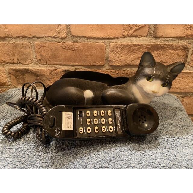 テレフォン猫⭐︎ 51+be5-WqFL._AC_UF350,