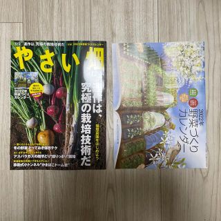 やさい畑 2021年 12月号(趣味/スポーツ)