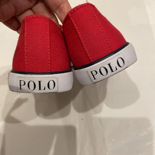 POLO RALPH LAUREN(ポロラルフローレン)のpolo スニーカー キッズ/ベビー/マタニティのキッズ靴/シューズ(15cm~)(スニーカー)の商品写真