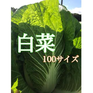 新鮮！！父が玉湯町で一生懸命育てたお野菜(野菜)