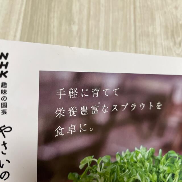 NHK 趣味の園芸 やさいの時間 2021年 12月号」と趣味の園芸12月号 エンタメ/ホビーの雑誌(趣味/スポーツ)の商品写真