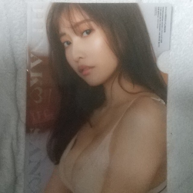 佐野ひろこ クリアファイル エンタメ/ホビーのタレントグッズ(アイドルグッズ)の商品写真