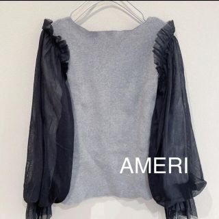 アメリヴィンテージ(Ameri VINTAGE)の古着　美品　AMERI アメリ　ニット　シフォン　リブ　グレー　フリー(ニット/セーター)