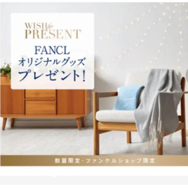 FANCL(ファンケル)のFANCL スローケット ストール コスメ/美容のコスメ/美容 その他(その他)の商品写真