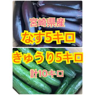 野菜　なす　きゅうり　10キロ(野菜)
