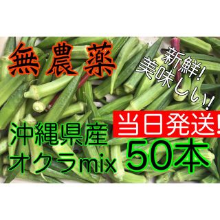 【収穫当日発送】　無農薬  オクラMIX 50本(野菜)