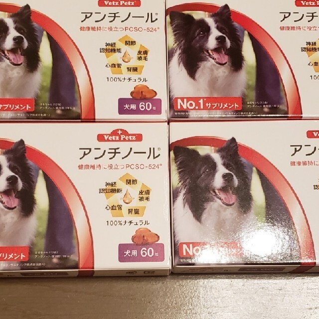 犬アンチノール60粒×4箱