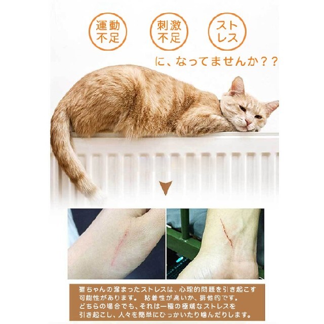 新品　LEDポインター 猫　玩具　運動不足 その他のペット用品(猫)の商品写真