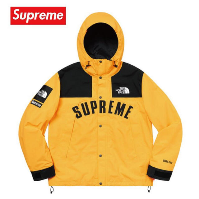 Supreme the north face mountain parka M