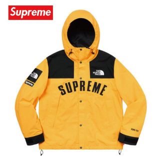 シュプリーム(Supreme)のSupreme the north face mountain parka M(マウンテンパーカー)