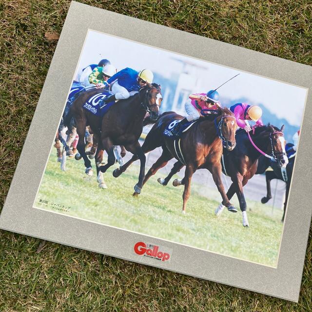 JRA競馬パネル | www.innoveering.net