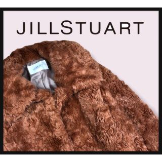 ジルスチュアート(JILLSTUART)の【美品　ジルスチュアート長毛ファーコート】ブラウンボルドーカラー　長毛ボア(毛皮/ファーコート)