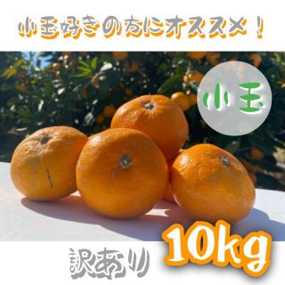 訳あり‼️和歌山県産 有田みかん【小玉】10kg(フルーツ)