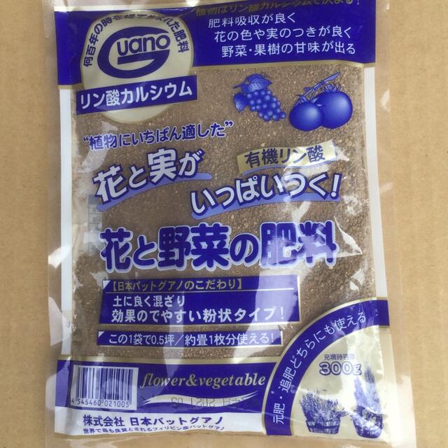 粉状バットグアノ 300g 【 未開封 】 その他のその他(その他)の商品写真