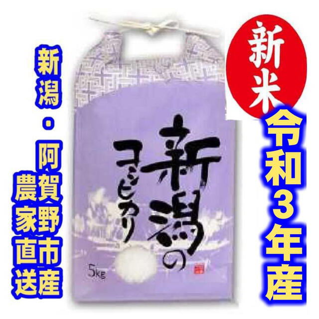 新米・令和３年産新潟コシヒカリ　白米5kg×2個★農家直送★色彩選別済22