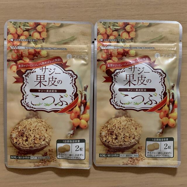 サジー果皮のこつぶ 2個 食品/飲料/酒の健康食品(その他)の商品写真