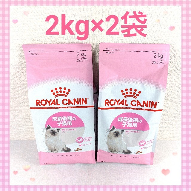 ロイヤルカナン　成長後期の子猫用　キトン　2kg 新品未開封