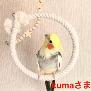 《星のぬくぬくブランコ Ｌ②点》《星のツンツンかみかみ ②点》鳥ブランコ(鳥)