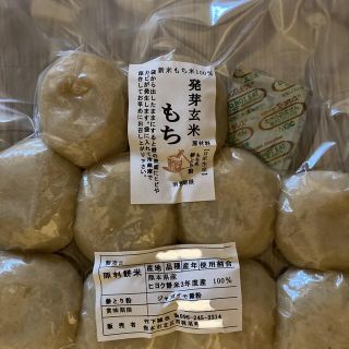 熊本県産　新米100%　発芽玄米もち500g  餅米(練物)