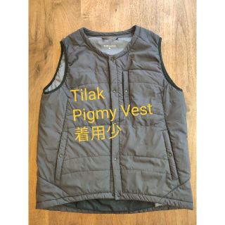 アークテリクス(ARC'TERYX)の【美品】Tilak Pigmy Vest グレー Msize(ベスト)