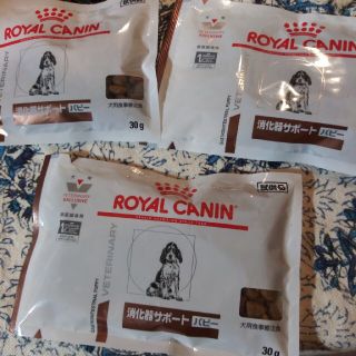 ロイヤルカナン(ROYAL CANIN)のその他。ペット用品。犬(犬)