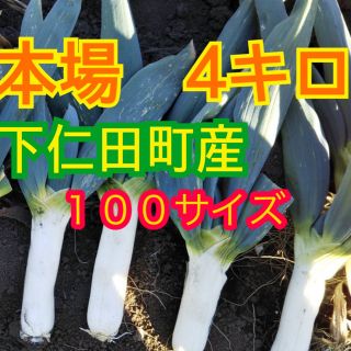 本場　下仁田ネギ　4キロ箱（100サイズ）(野菜)