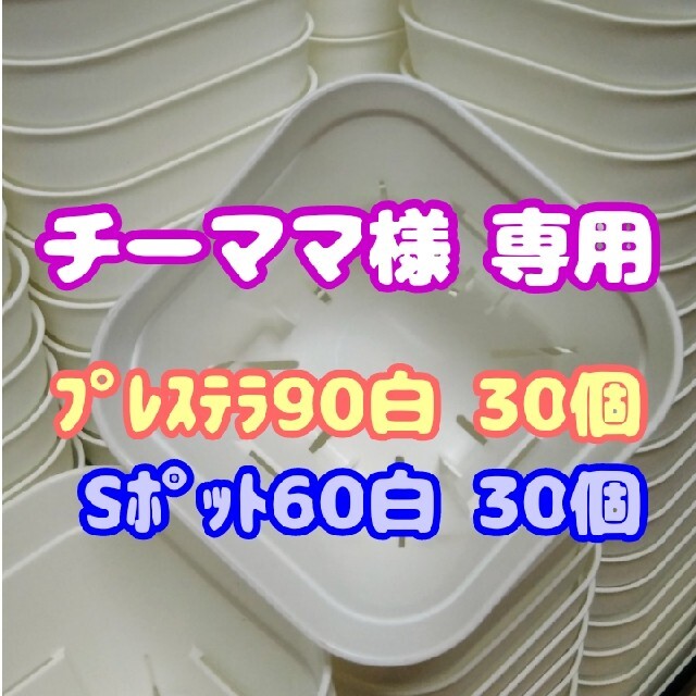 Sポット60 白 30個 2号他 丸型 スリット鉢 プレステラ 多肉植物 プラ鉢 ハンドメイドのフラワー/ガーデン(プランター)の商品写真