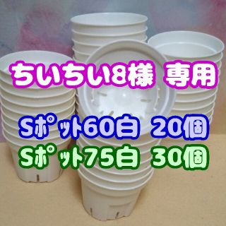 Sポット75 白 30個2.5号 他 丸型 スリット鉢 プレステラ多肉植物プラ鉢(プランター)