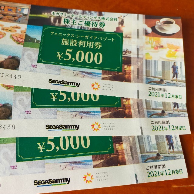 シーガイアリゾート 施設利用券 【ふるさと割】 大人気⑅◡̈富士サファリパーク 割引き券