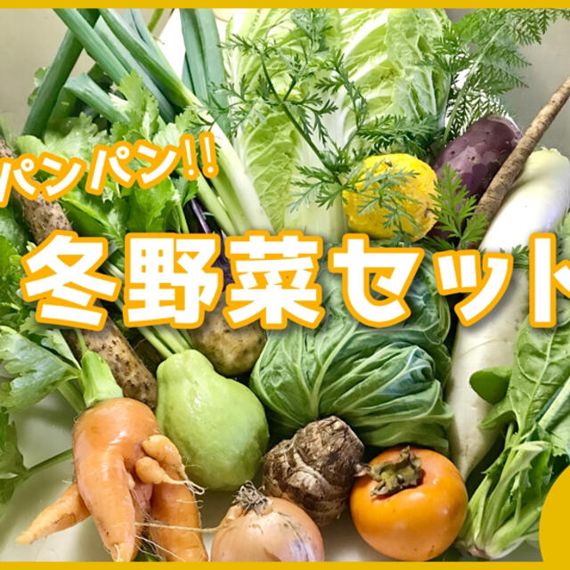 野菜詰め合わせセット　今週木曜の採りたて野菜を60サイズ 食品/飲料/酒の食品(野菜)の商品写真