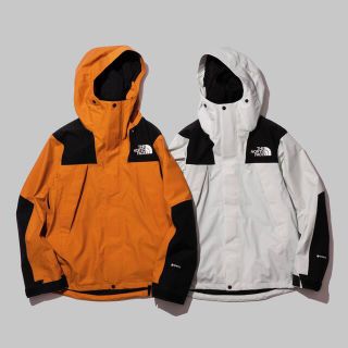 ザノースフェイス(THE NORTH FACE)のTHE NORTH FACE  Mountain Jacket NP62101R(マウンテンパーカー)