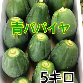 青パパイヤ⭐️ 5キロ(野菜)