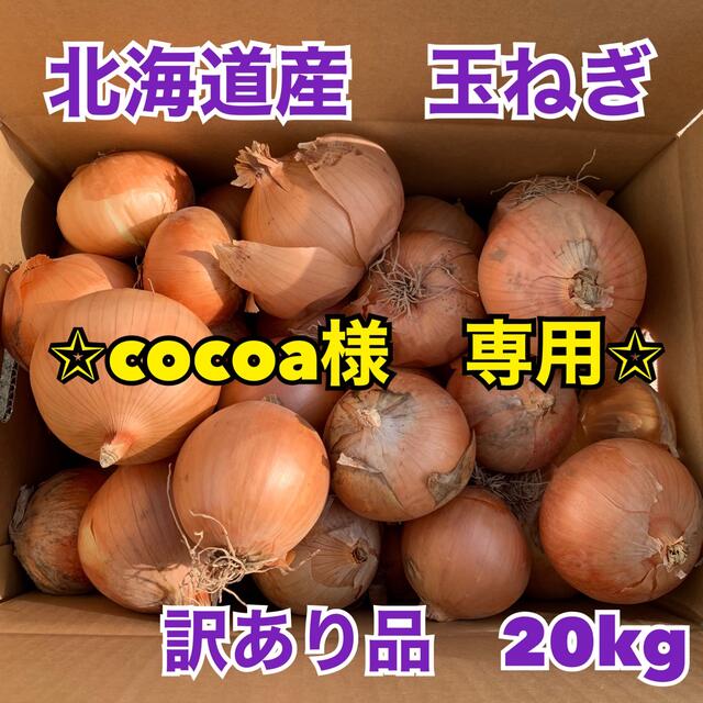 北海道産　玉ねぎ　訳あり品　20kg 食品/飲料/酒の食品(野菜)の商品写真