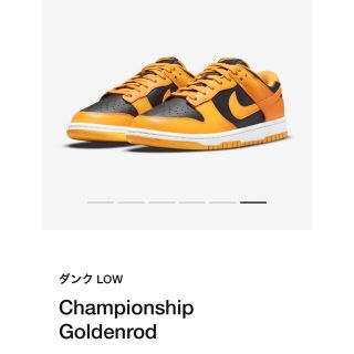 ナイキ(NIKE)のNIKE DUNK LOW RETRO yellow × Black(スニーカー)