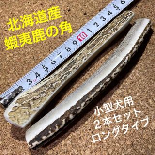 鹿の角　犬のおもちゃ　北海道産　　　　　　　　　　　　　小型犬用2本ロングタイプ(犬)