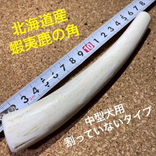 鹿の角　犬のおもちゃ　北海道産　　　　　　　　　　　　中型犬用割っていないタイプ(犬)