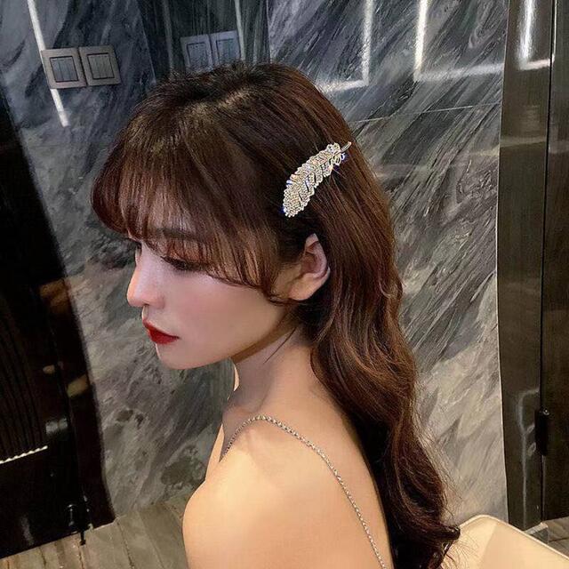史上一番安い ALEXANDRE DE PARIS ヘアピン ハンドメイド 希少 ilam.org