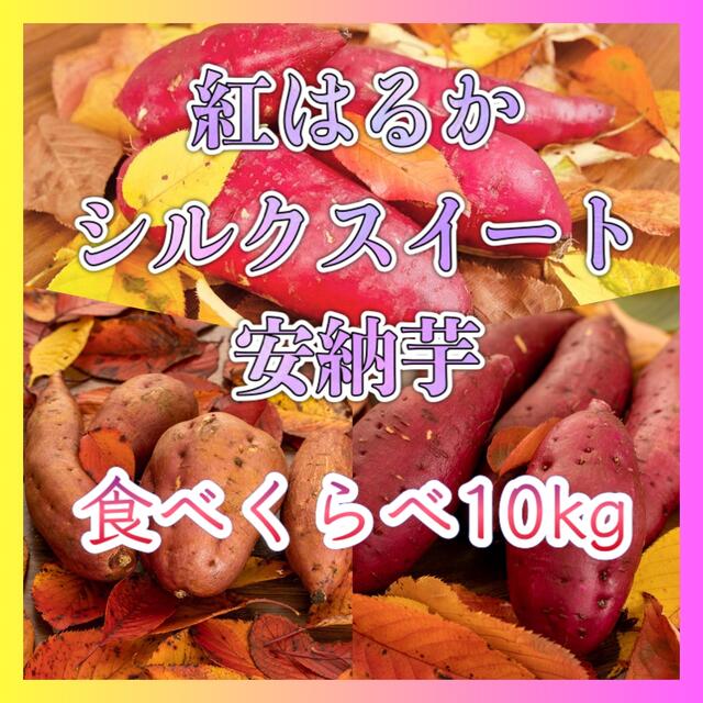 さつまいも3種食べくらべ『紅はるか』『安納芋』『シルクスイート』 食品/飲料/酒の食品(野菜)の商品写真