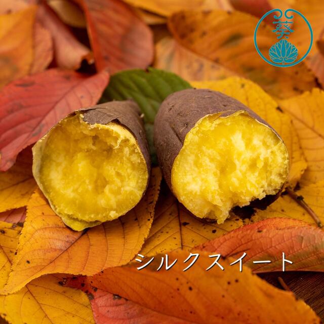 さつまいも3種食べくらべ『紅はるか』『安納芋』『シルクスイート』 食品/飲料/酒の食品(野菜)の商品写真