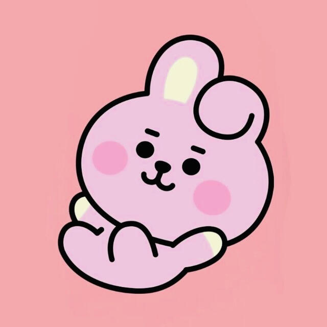 防弾少年団(BTS)(ボウダンショウネンダン)の【wooさま オーダー⠀】COOKY♡ その他のその他(オーダーメイド)の商品写真