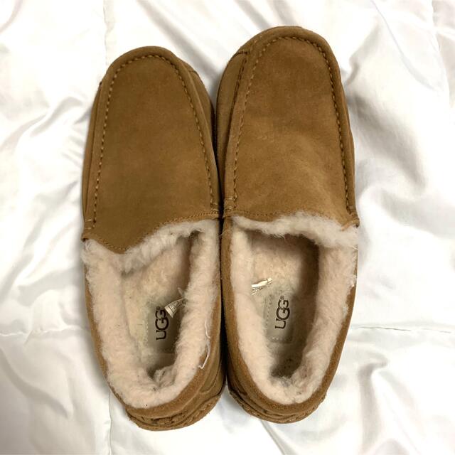 UGG(アグ)のUGG ASCOT アグ/アスコット/モカシンn メンズの靴/シューズ(スリッポン/モカシン)の商品写真