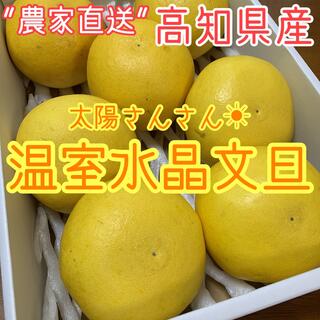 【訳あり品】高知県産 高級温室水晶文旦 ぶんたん　7玉(フルーツ)