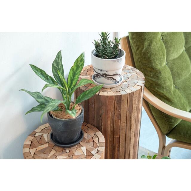 【SALE最終日】アーバンプランツポット 選べる3個セット 植木鉢 ハンドメイドのフラワー/ガーデン(プランター)の商品写真