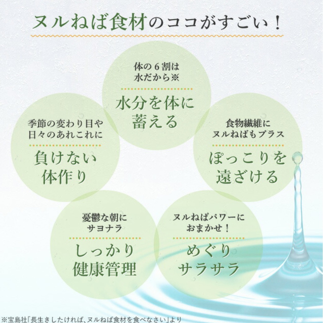 ヌルねばスープ 和風しょうゆ味 チゲ風味 食品/飲料/酒の加工食品(インスタント食品)の商品写真