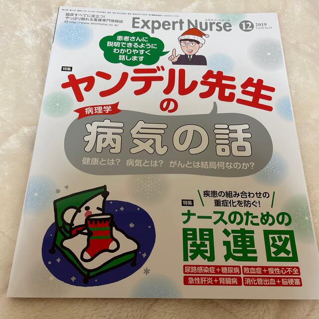 Expert Nurse (エキスパートナース) 2019年 12月号 エンタメ/ホビーの雑誌(専門誌)の商品写真