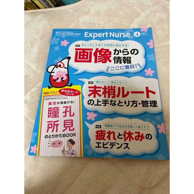 にか426様専用Expert Nurse 2019年 11月号、4月号 エンタメ/ホビーの雑誌(専門誌)の商品写真